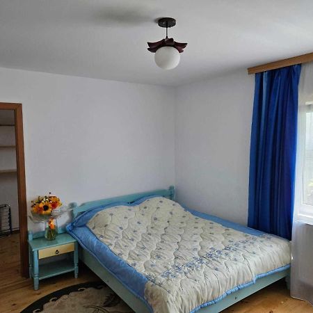 Muzicii 11 - Cozy Seaside Apartments Năvodari Kültér fotó