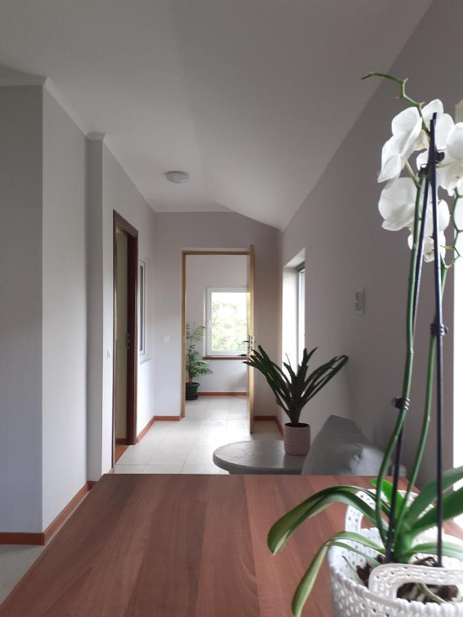 Muzicii 11 - Cozy Seaside Apartments Năvodari Kültér fotó