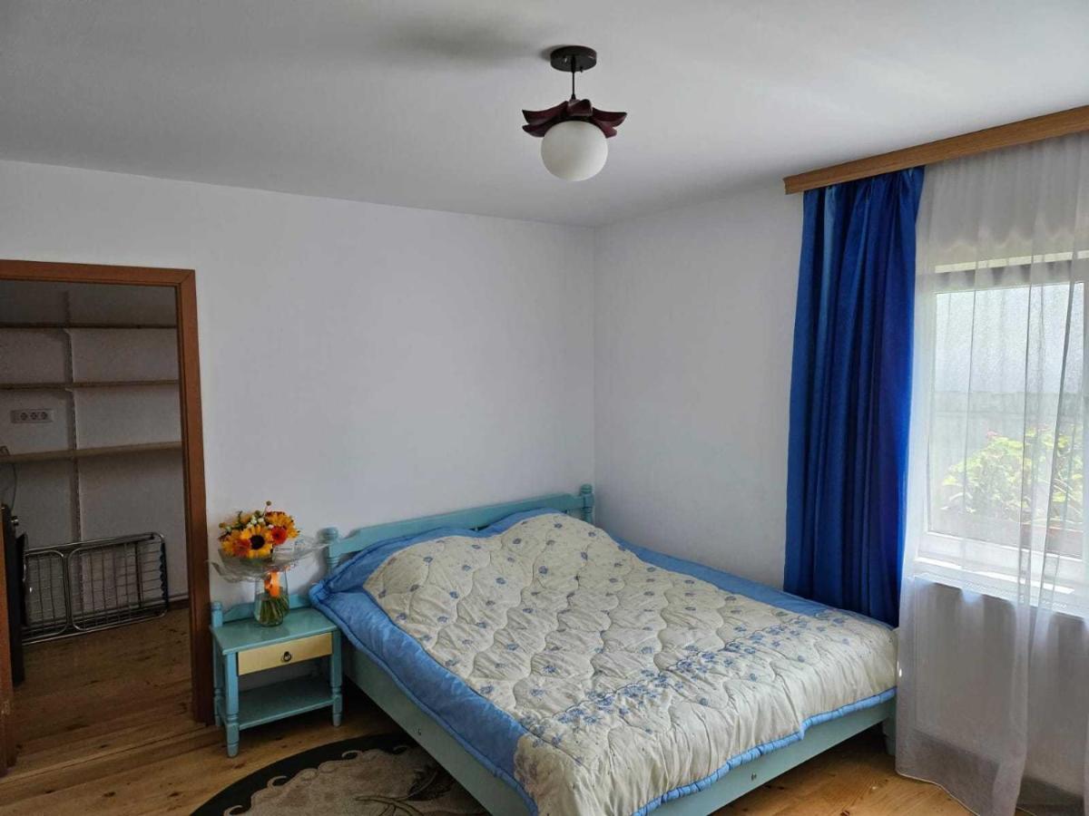 Muzicii 11 - Cozy Seaside Apartments Năvodari Kültér fotó