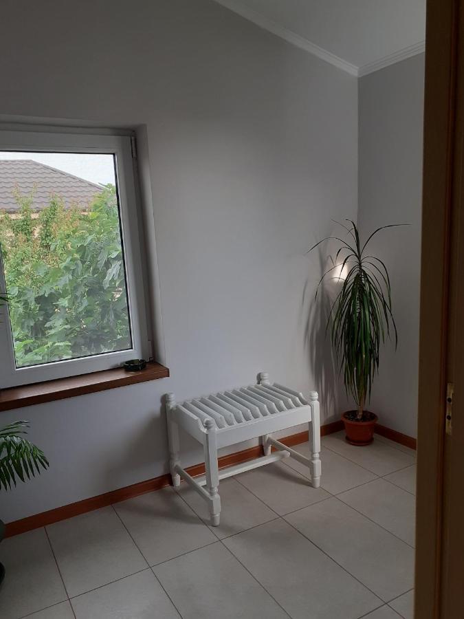 Muzicii 11 - Cozy Seaside Apartments Năvodari Kültér fotó